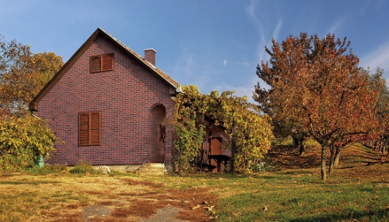 Klinkerinės plytelės King Klinker HF21 (paletėje 60 m2) paveikslėlis